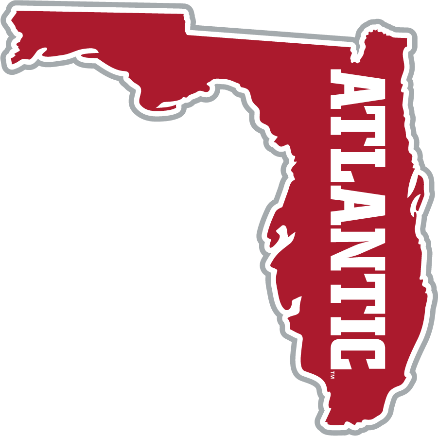 Florida Atlantic Owls 2015-2017 Secondary Logo iron on transfers for clothing
